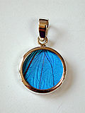 Shimmerwing Pendants Blue Morpho Butterfly Tiny